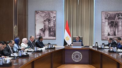 الحكومة: إنشاء قاعدة بيانات لجميع المصانع والورش القائمة بمنطقة شق الثعبان 