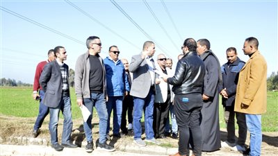  13700 فدان مزروعة قمح بالبحيرة الموسم الحالي