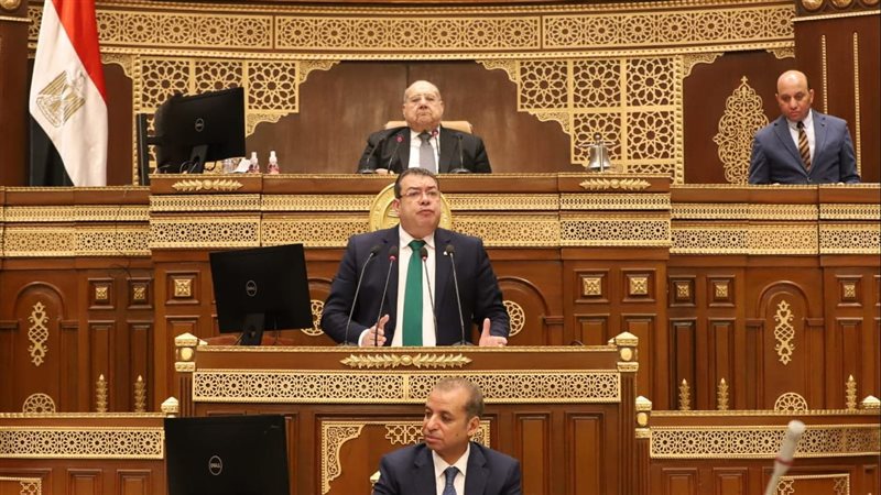 النائب يستعرض طلب