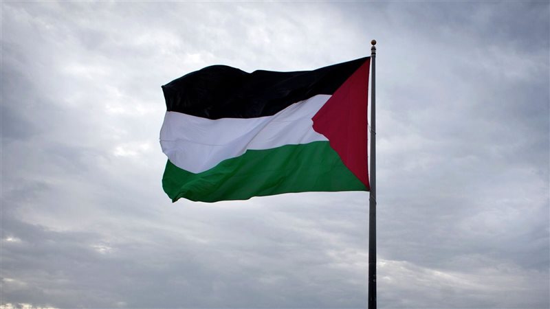 فلسطين، فيتو