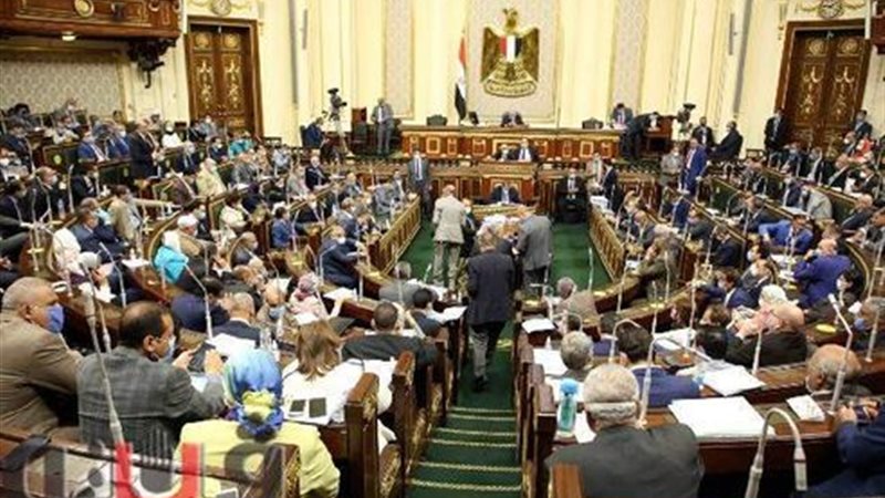 مجلس النواب، فيتو