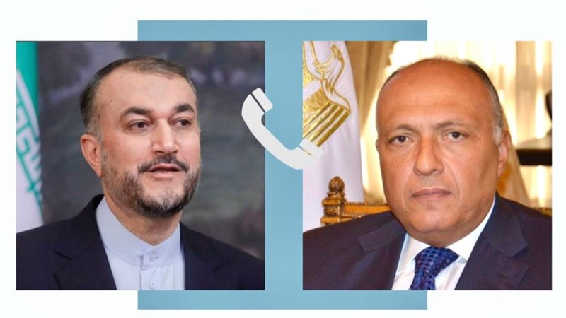 وزير الخارجية سامح
