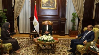 تفاصيل لقاء رئيس مجلس الشيوخ وسفيرة البحرين بالقاهرة