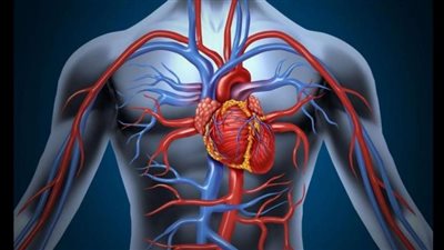 أهمها خدر الوجه، أعراض وعلاجات تصلب الشرايين