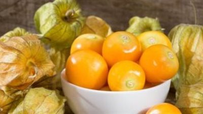 فوائد الحرنكش، يقوي العظام والمفاصل ويخفض السكر والكوليسترول بالدم