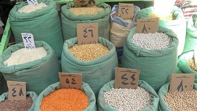 أسعار البقوليات اليوم الثلاثاء 26-12-2023 في الدقهلية