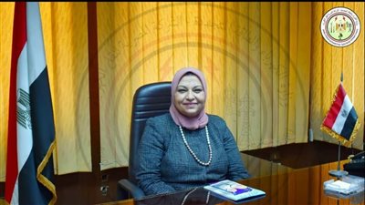 الكهرباء: استثمار 42 مليار جنيه لتحسين أداء الشبكة وتحسين جودة التغذية 