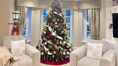 البينك والذهبى والأزرق، أحدث صيحات موضة شجرة الكريسماس فى 2024 (صور)