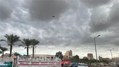  حالة الطقس اليوم الخميس 28 - 12- 2023 فى مصر