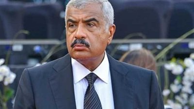 هشام طلعت مصطفى: 21 مليار دولار تكلفة مشروع ساوث ميد بالساحل الشمالي