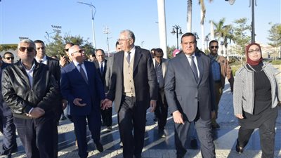 وزيرا التنمية المحلية والزراعة ومحافظ بورسعيد يفتتحون أعمال تطوير منطقة فاطمة الزهراء