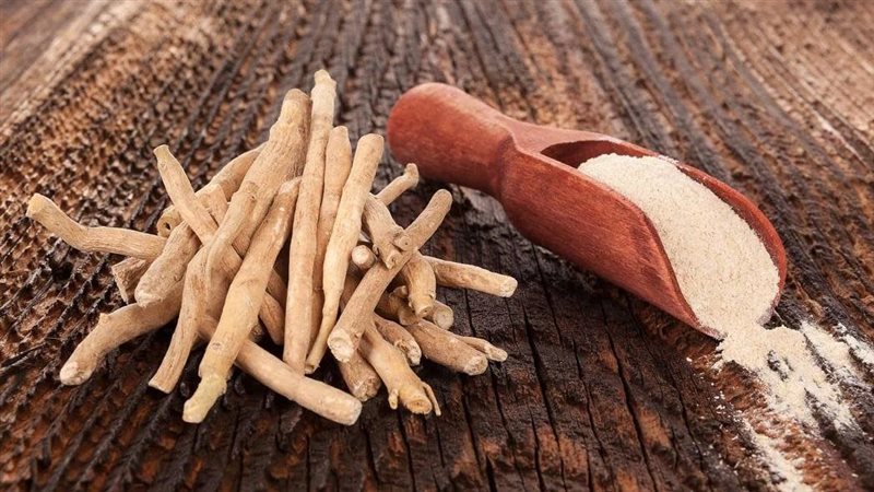 فوائد الأشواجندا،