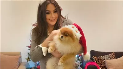 إليسا تروج لحفل ليلة نجمات العرب برأس السنة في الرياض (فيديو) 