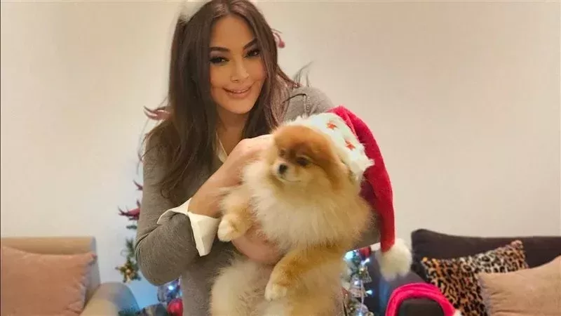 إليسا، فيتو