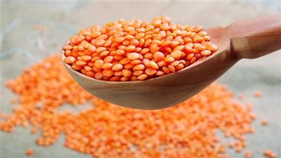  استقرار أسعار العدس مساء اليوم الثلاثاء 30-1-2024 في الأسواق