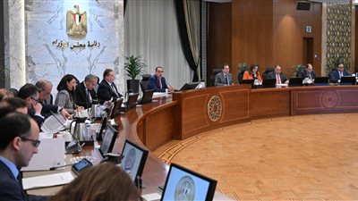 الحكومة: الاقتصاد المصري حقق نموًا 3.8% رغم تداعيات الأزمة الروسية الأوكرانية