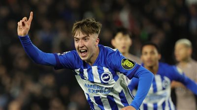 أين يمكنني مشاهدة مباراة برايتون وولفرهامبتون في الدوري الإنجليزي 