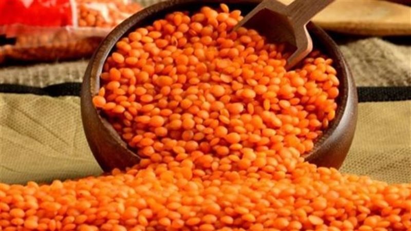 أسعار العدس اليوم،