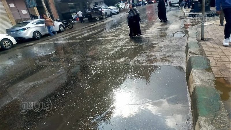 حالة الطقس غدا، فيتو