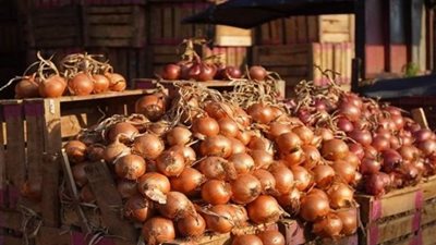 بشرى العام الجديد 2024 للمصريين.. زيادة المعاشات والمرتبات وتراجع أسعار البصل والسكر