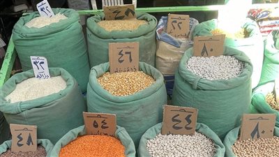 أسعار البقوليات اليوم السبت 30-12-2023 في الدقهلية 