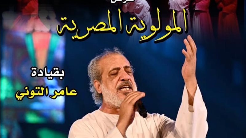 بوستر حفل عامر التوني،
