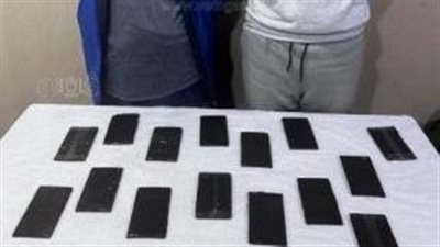 القبض على 11 تاجر مخدرات في الشرقية والجيزة والأقصر (صور) 