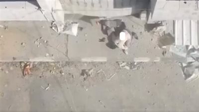 الشهيد الساجد في غزة يثير تعاطف العالم، والنشطاء: ربح البيع يا أسد 