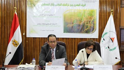 مساعد وزيرة التخطيط يستعرض دور حياة كريمة في تحقيق التنمية الريفية