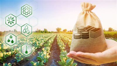  الاكتفاء الذاتى اختبار الحكومة الجديدة فى 2024.. خبراء اقتصاد: نحتاج ١٠٠ مليار دولار سنويًا