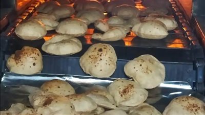 تموين الأقصر تحرر 11 محضر مخالفة للمخابز البلدية 