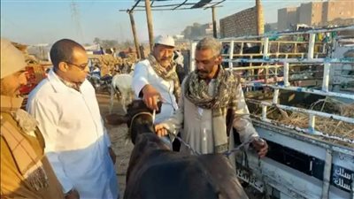 مدير طب بيطري الأقصر يشدد على التعاون مع اللجان الطبية 