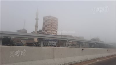 شبورة كثيفة في الإسماعيلية تصل إلى حد الضباب (فيديو وصور) 