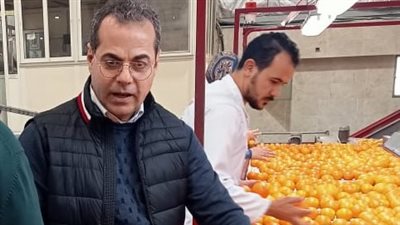 الزراعة تتابع جودة صادرات الموالح بمحطات التعبئة 