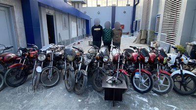 سقوط 12 لصا لارتكاب جرائم سرقات المساكن والمحال والهواتف بالجيزة (صور)