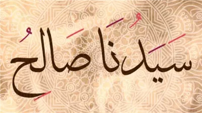 معجزة الناقة، قصة النبي صالح مع قومه