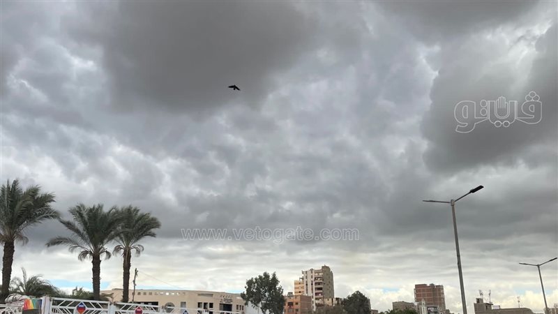 حالة الطقس غدا، فيتو
