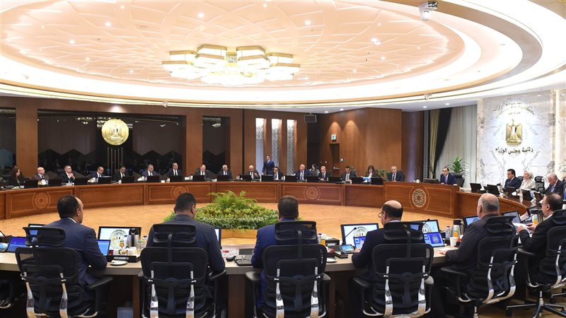 مجلس الوزراء،فيتو