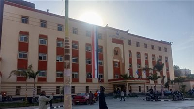 شاب ينهي حياة والدته بسبب خلافات أسرية في المنيا 