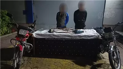 تجديد حبس 3 تشكيلات عصابية لسرقة السيارات والدرجات النارية والشقق بالقاهرة (صور)