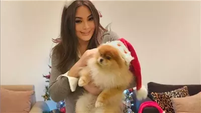 إليسا: أتمنى أن تكون 2024 سنة أحلى لبلدي لبنان