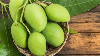 تفسير حلم المانجو الخضراء في المنام وعلاقته بالشفاء من الأمراض 