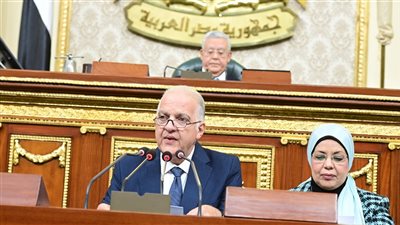 نواب: مصر تشارك في إنقاذ كوكب الأرض بقانون الهيدروجين الأخضر 