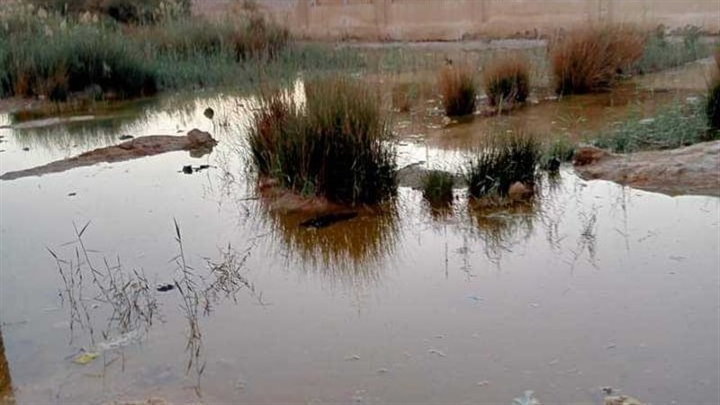 تحسين نوعية المياه