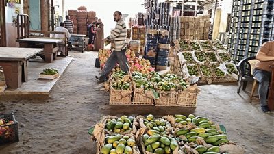  هلت البشاير، طرح المانجو ملك الفواكه الصيفية بأسعار تبدأ من 10 جنيهات في سوق العبور