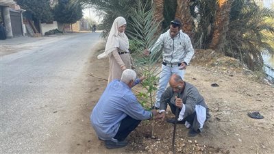 تشجير وزراعة شتلات بالبداري أسيوط ضمن مبادرة زراعة 100 مليون شجر (صور)