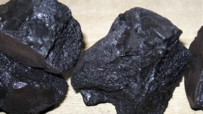 عشبة الشيلاجيت مادة سحرية تعالج السرطان وألزهايمر وفقر الدم