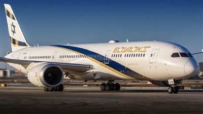 فأر على متن طائرة 