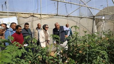 محافظ الوادي الجديد يتفقد مشروعات الصوب الزراعية بالخارجة (صور)