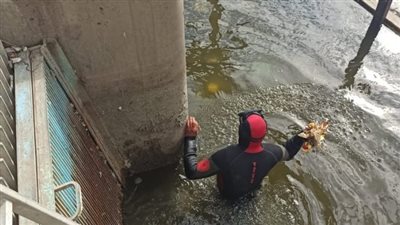 رئيس مياه القناة: بدء تطهير مآخذ المحطات من المخلفات